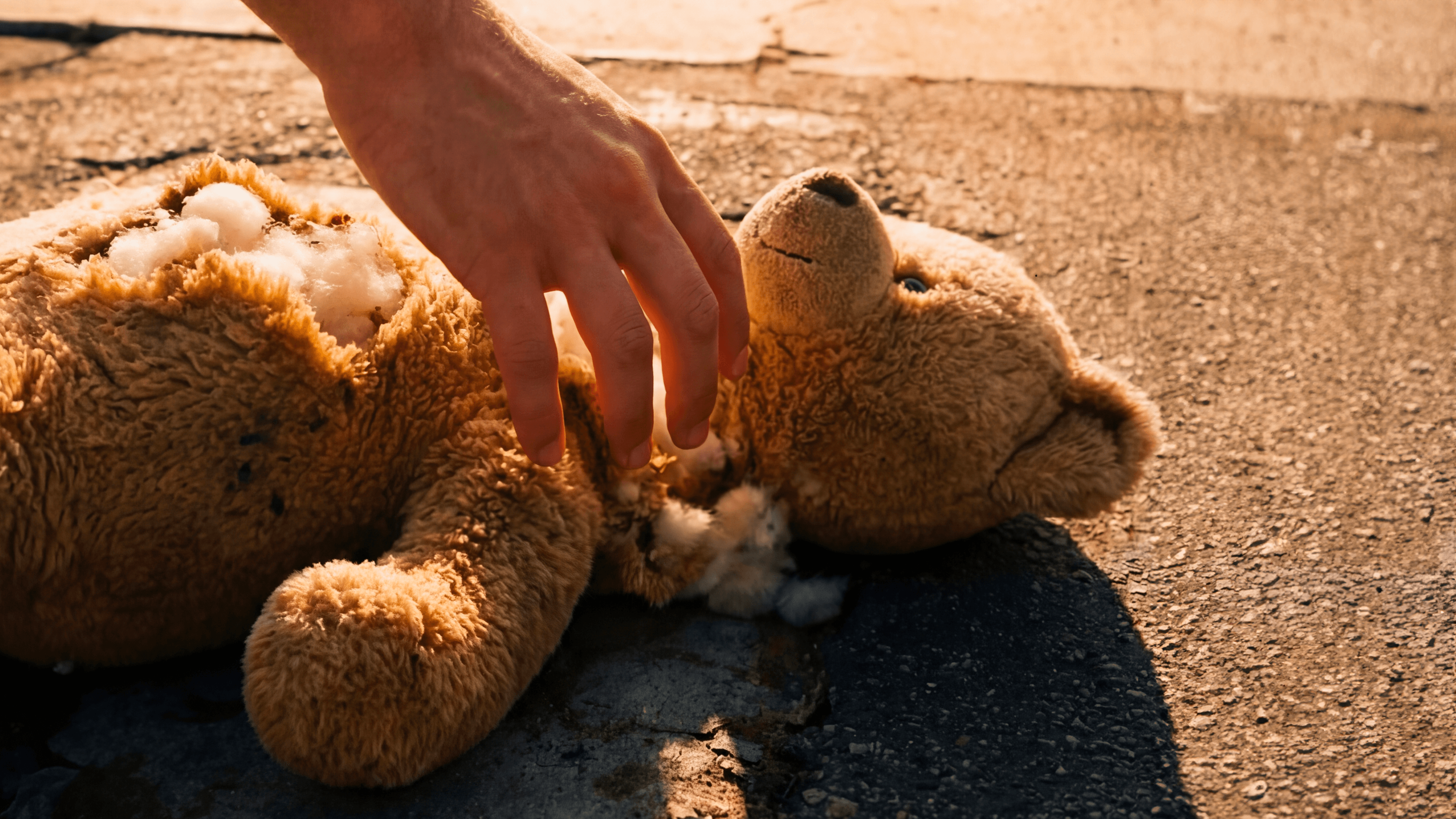 02 16x9 Teddy cadaeb2b74